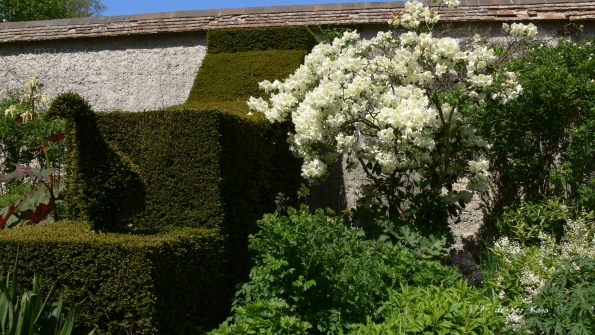 Bois des Moutiers (162) Mai 2012